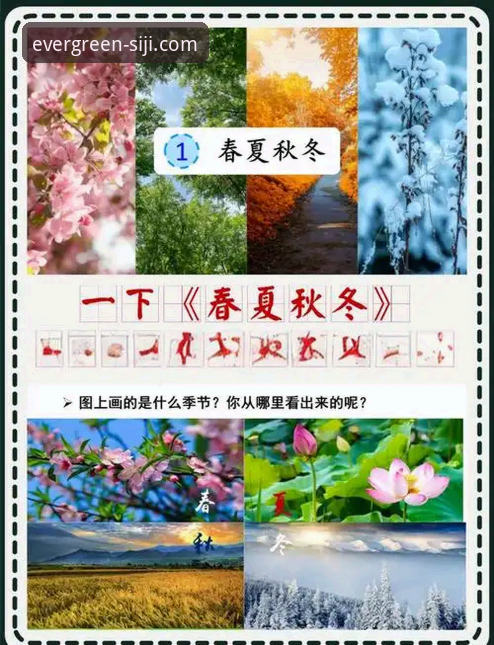 四季使用教程：从入门到精通，掌握四季官方网站全功能操作指南