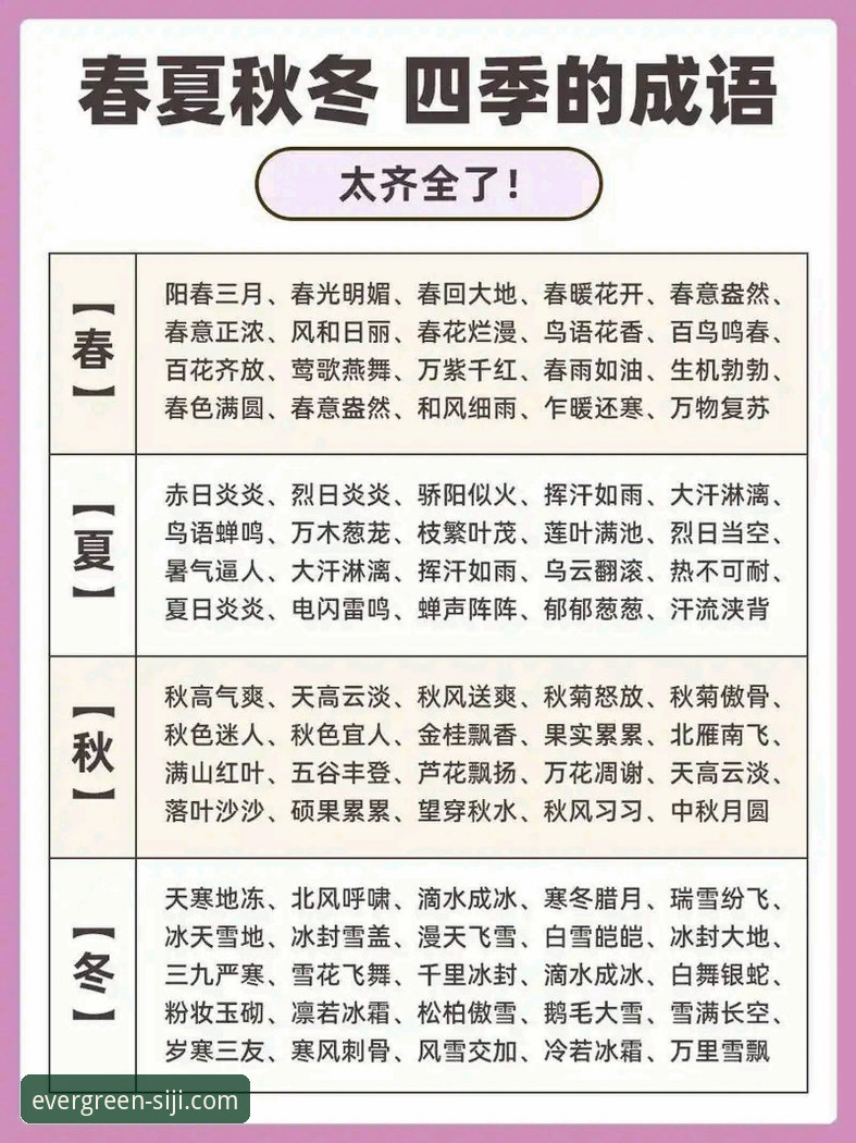 什么是“四季如春体验”？它如何重塑我们的数字生活方式？