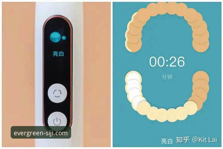 四季是什么软件？一位老用户的真实体验分享